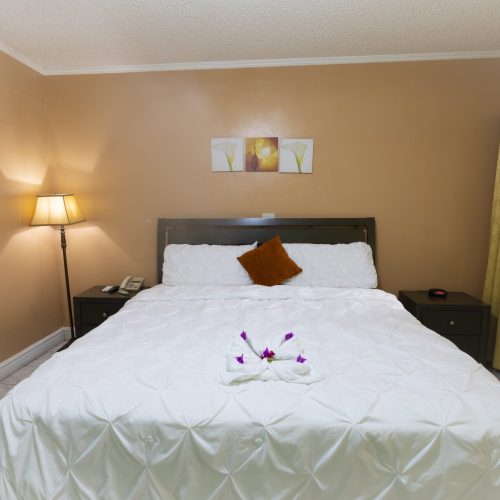 2024_Tropical Mansions-10-min 2024_Tropical Mansions-10-min