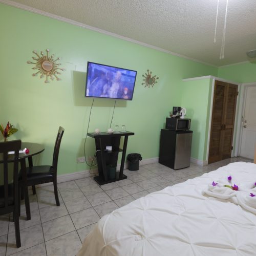 2024_Tropical Mansions-14-min 2024_Tropical Mansions-14-min